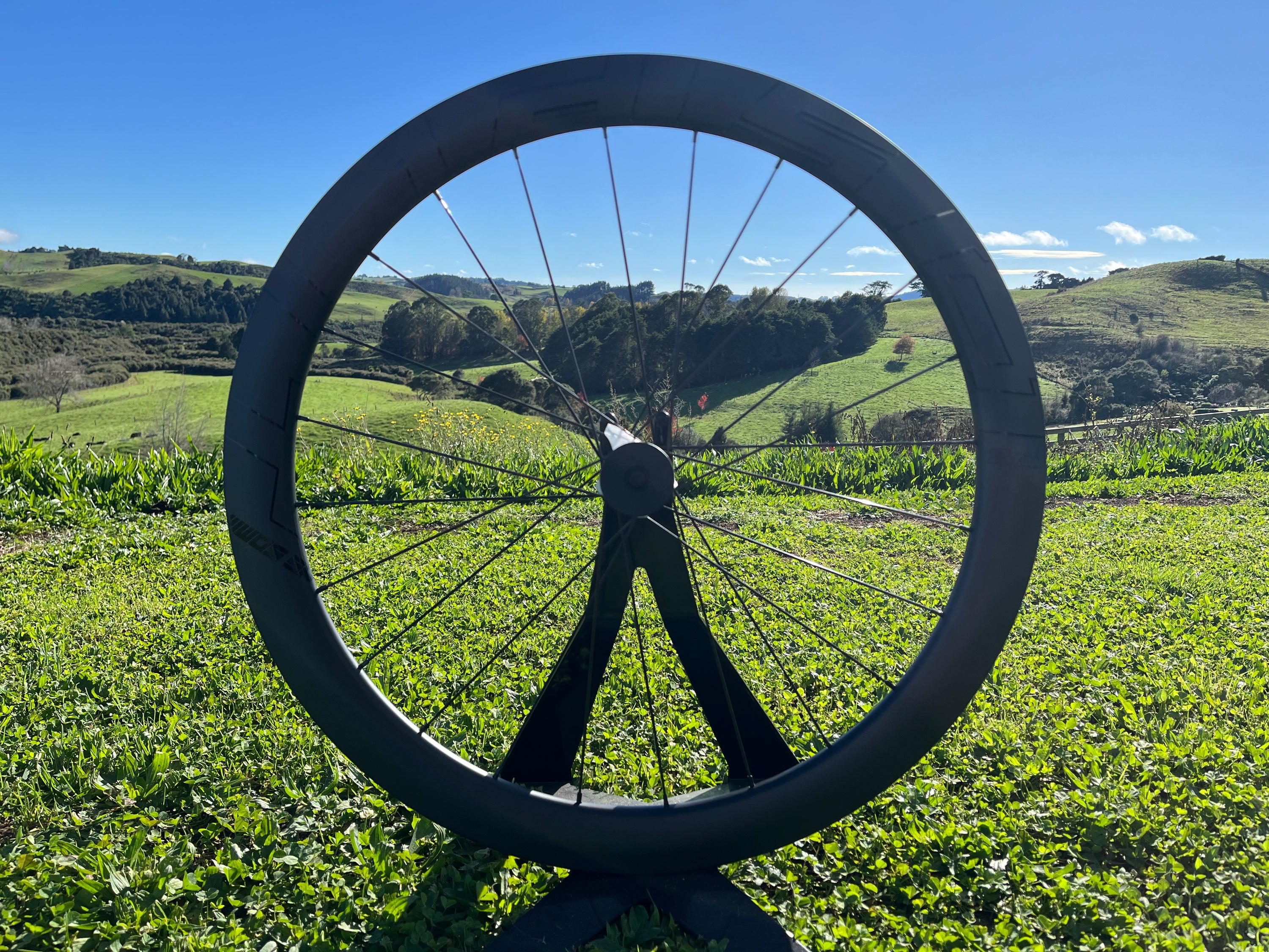 NS50 DB [REAR] (NEW)