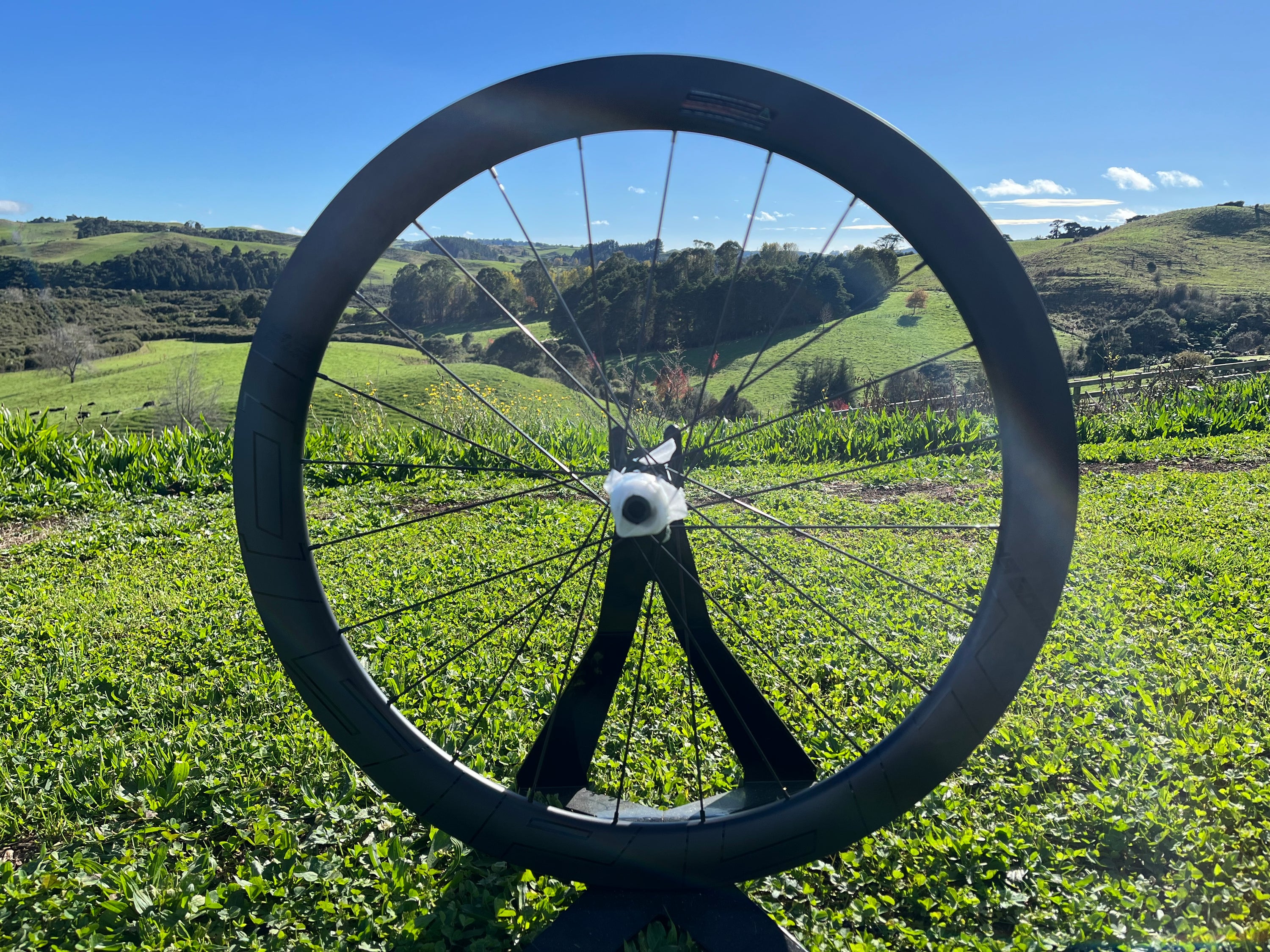 NS50 DB [REAR] (NEW)